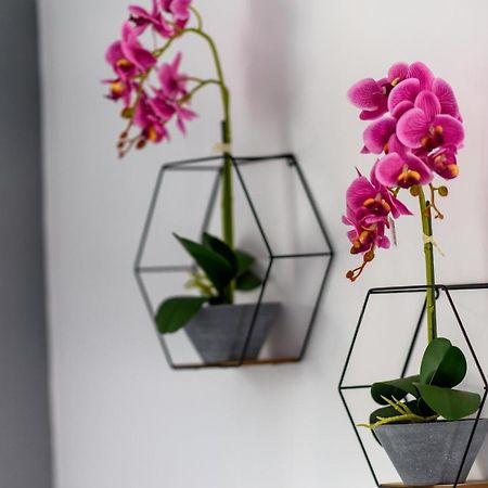 Apartmán Valdivian Flat 18 Larnaca Exteriér fotografie
